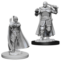 Nolzur's Marvelous Miniature Unpainted