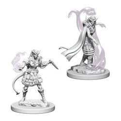 Nolzur's Marvelous Miniature Unpainted