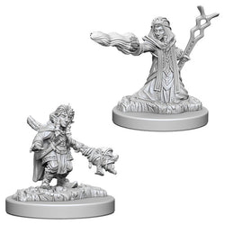 Nolzur's Marvelous Miniature Unpainted