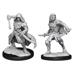 Nolzur's Marvelous Miniature Unpainted