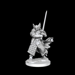 D&D Frameworks Miniature Small