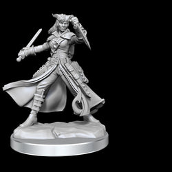 D&D Frameworks Miniature Small