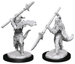 Nolzur's Marvelous Miniature Unpainted