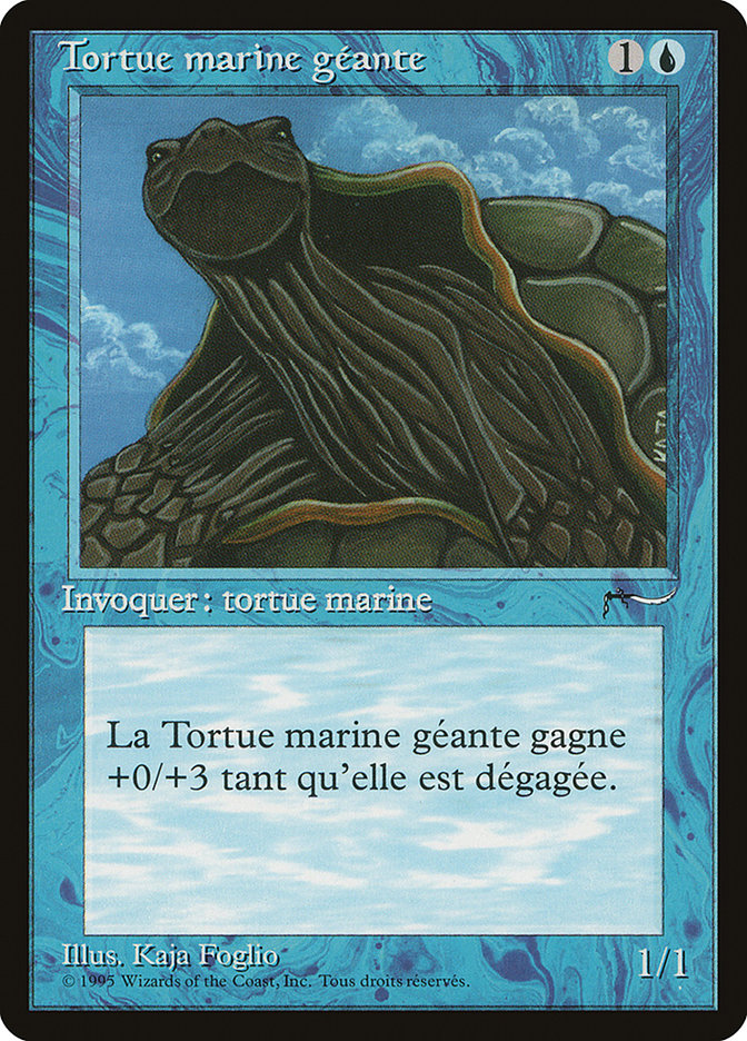 Giant Tortoise (French) - 