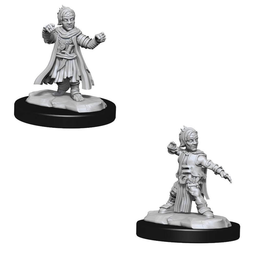 Pathfinder Deep Cuts Unpainted Miniature