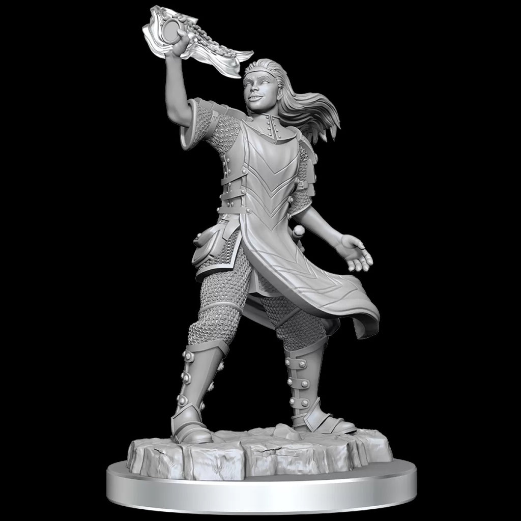 Nolzur's Marvelous Miniatures Medium Unpainted