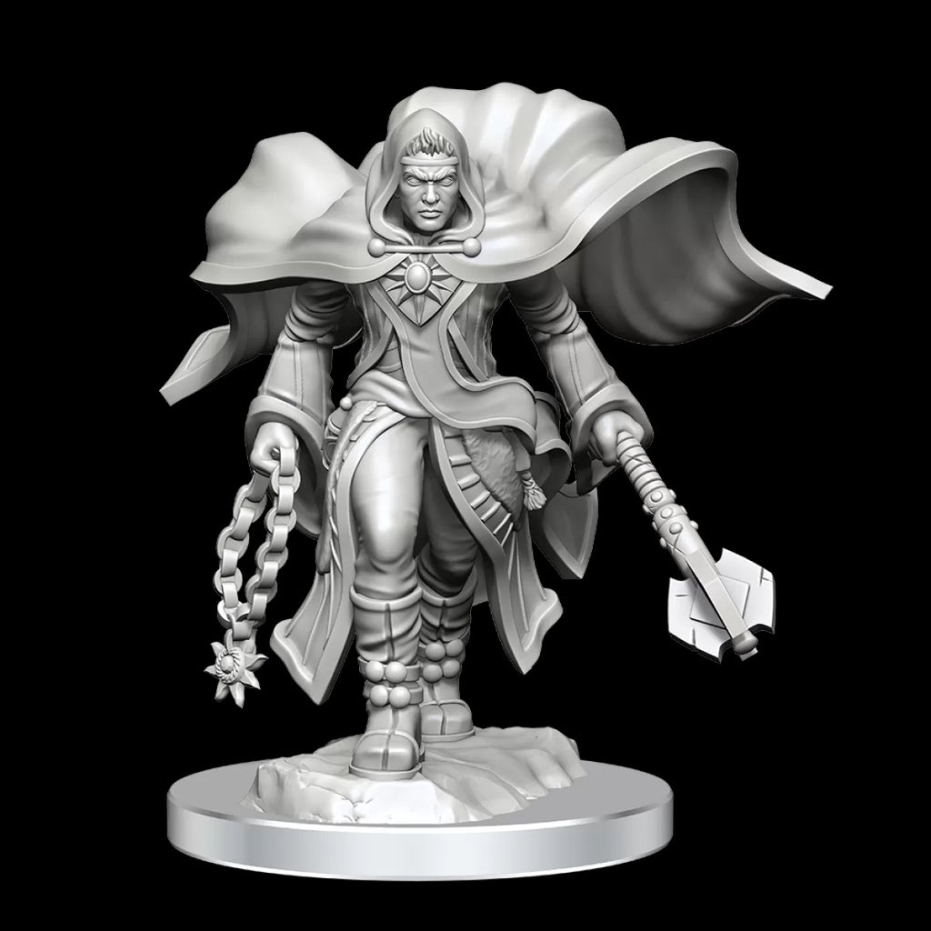 Nolzur's Marvelous Miniatures Medium Unpainted