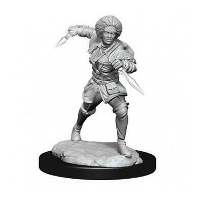 Magic the Gathering Unpainted Miniature
