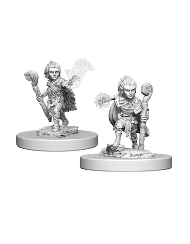 Pathfinder Deep Cuts Unpainted Miniature