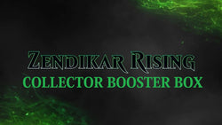 Zendikar Rising Collector Booster Box
