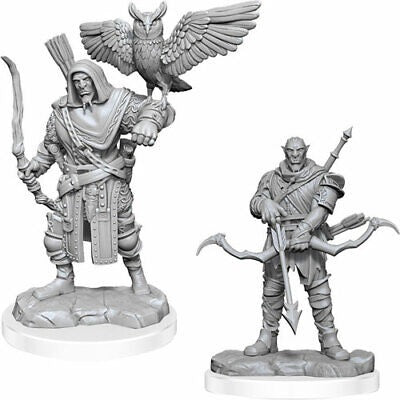 Nolzur's Marvelous Miniature Unpainted (2)